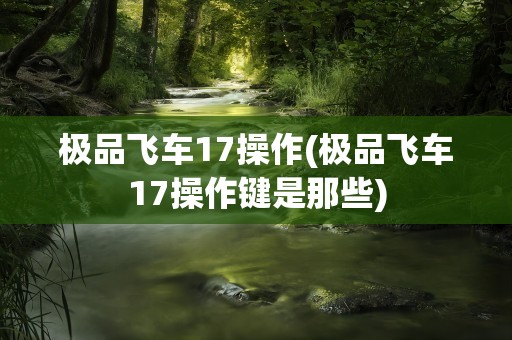 极品飞车17操作(极品飞车17操作键是那些)