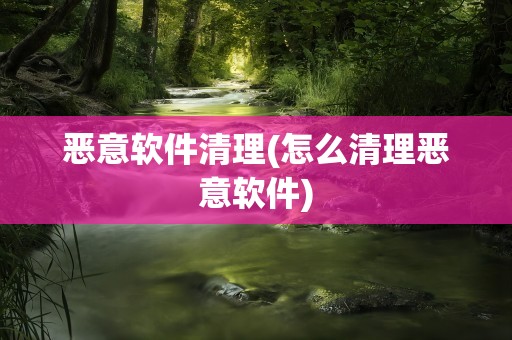 恶意软件清理(怎么清理恶意软件)