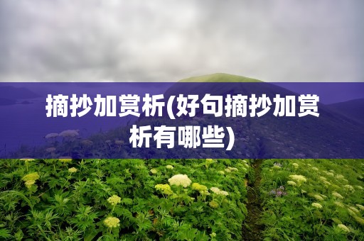摘抄加赏析(好句摘抄加赏析有哪些)