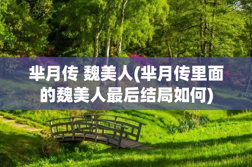 芈月传 魏美人(芈月传里面的魏美人最后结局如何)