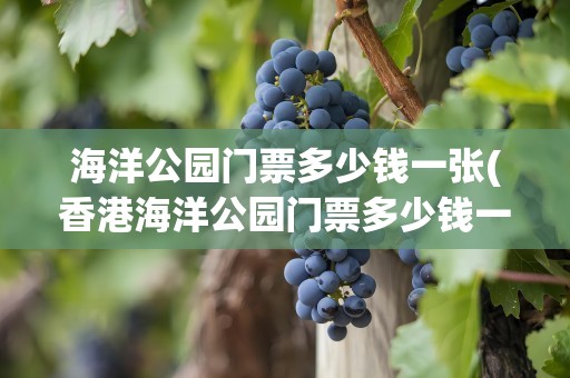 海洋公园门票多少钱一张(香港海洋公园门票多少钱一张)