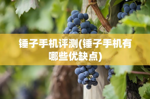 锤子手机评测(锤子手机有哪些优缺点)