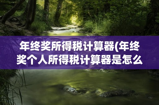 年终奖所得税计算器(年终奖个人所得税计算器是怎么算的)