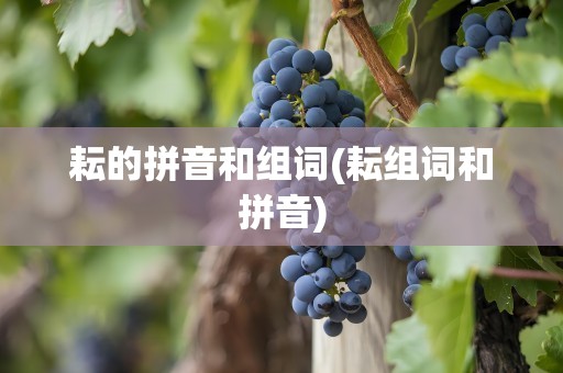耘的拼音和组词(耘组词和拼音)