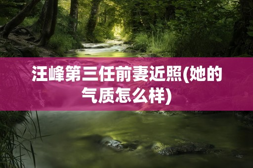 汪峰第三任前妻近照(她的气质怎么样)