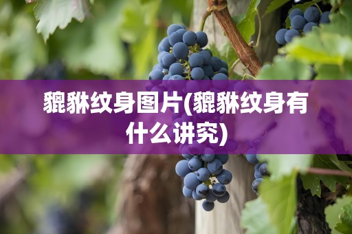 貔貅纹身图片(貔貅纹身有什么讲究)