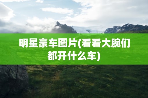 明星豪车图片(看看大腕们都开什么车)