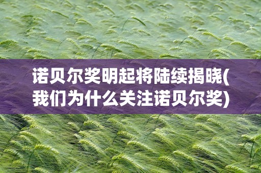 诺贝尔奖明起将陆续揭晓(我们为什么关注诺贝尔奖)