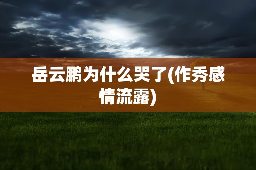 岳云鹏为什么哭了(作秀感情流露)