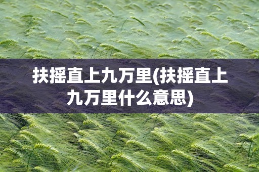 扶摇直上九万里(扶摇直上九万里什么意思)
