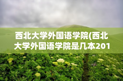 西北大学外国语学院(西北大学外国语学院是几本2010年录取分数是多少)
