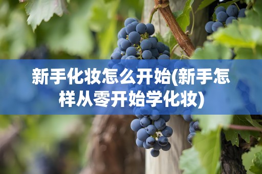 新手化妆怎么开始(新手怎样从零开始学化妆)