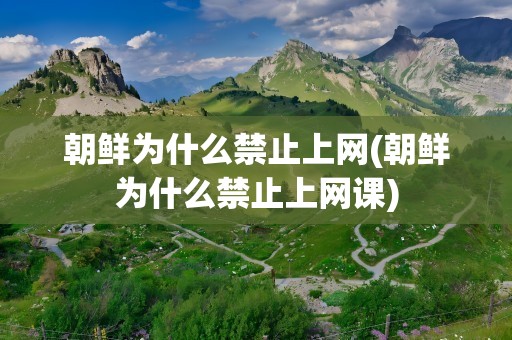 朝鲜为什么禁止上网(朝鲜为什么禁止上网课)