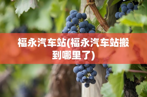 福永汽车站(福永汽车站搬到哪里了)