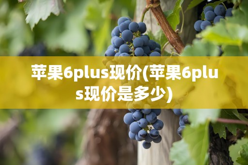 苹果6plus现价(苹果6plus现价是多少)