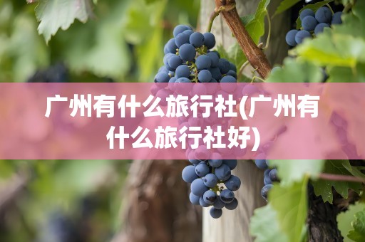 广州有什么旅行社(广州有什么旅行社好)