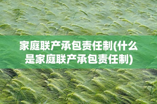 家庭联产承包责任制(什么是家庭联产承包责任制)