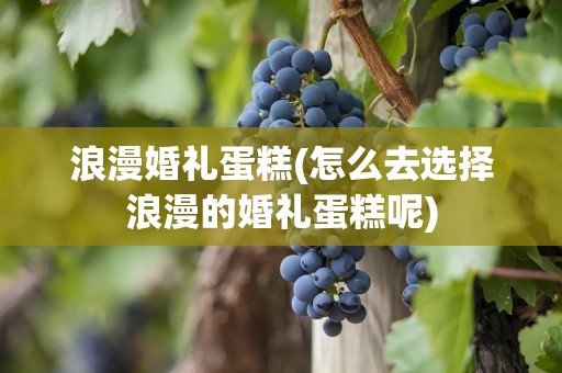浪漫婚礼蛋糕(怎么去选择浪漫的婚礼蛋糕呢)