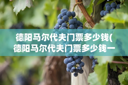 德阳马尔代夫门票多少钱(德阳马尔代夫门票多少钱一张)
