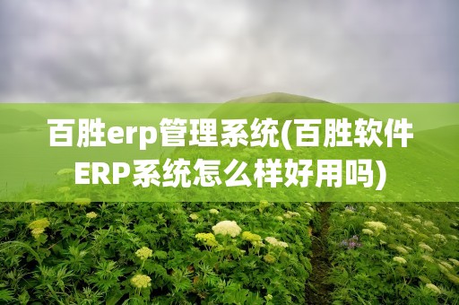 百胜erp管理系统(百胜软件ERP系统怎么样好用吗)