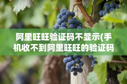 阿里旺旺验证码不显示(手机收不到阿里旺旺的验证码)