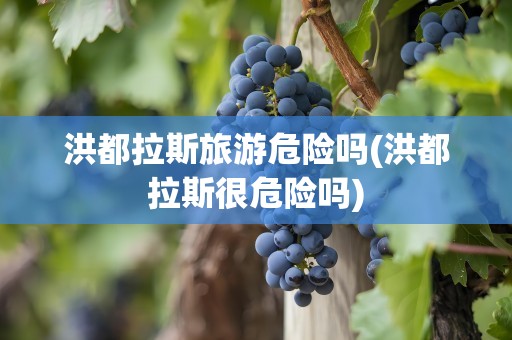 洪都拉斯旅游危险吗(洪都拉斯很危险吗)