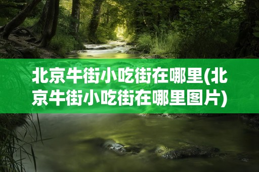 北京牛街小吃街在哪里(北京牛街小吃街在哪里图片)