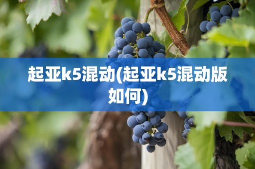 起亚k5混动(起亚k5混动版如何)