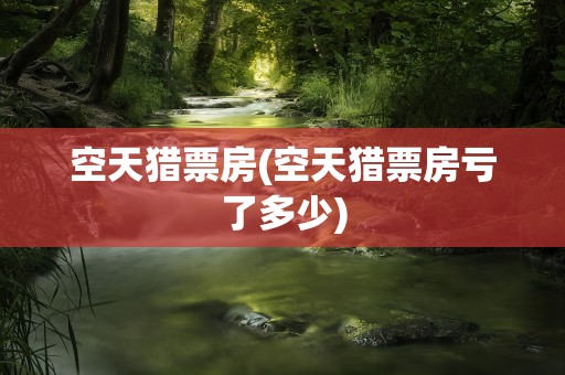 空天猎票房(空天猎票房亏了多少)