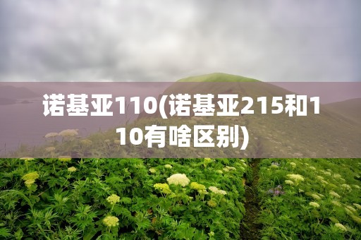 诺基亚110(诺基亚215和110有啥区别)