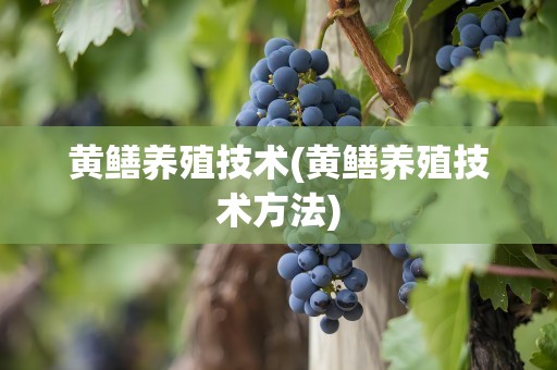 黄鳝养殖技术(黄鳝养殖技术方法)