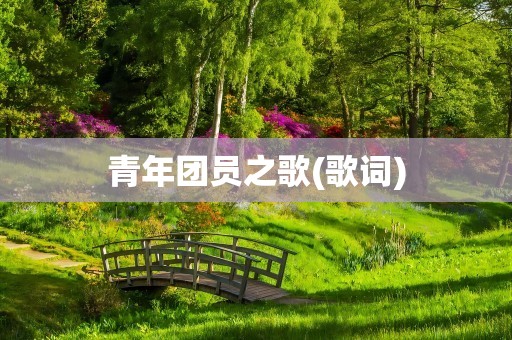 青年团员之歌(歌词)