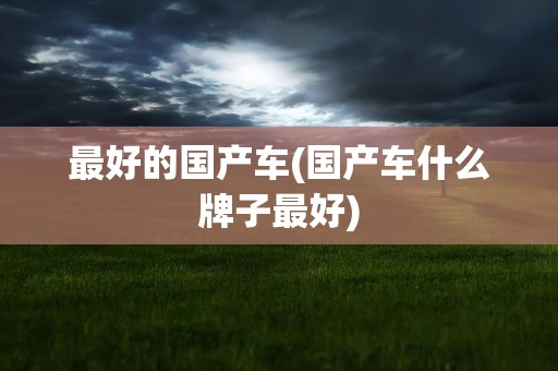 最好的国产车(国产车什么牌子最好)