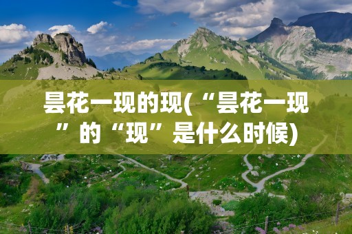 昙花一现的现(“昙花一现”的“现”是什么时候)