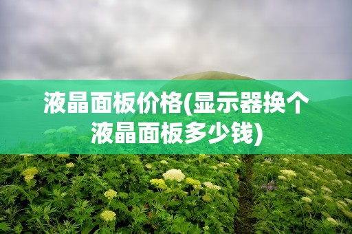 液晶面板价格(显示器换个液晶面板多少钱)