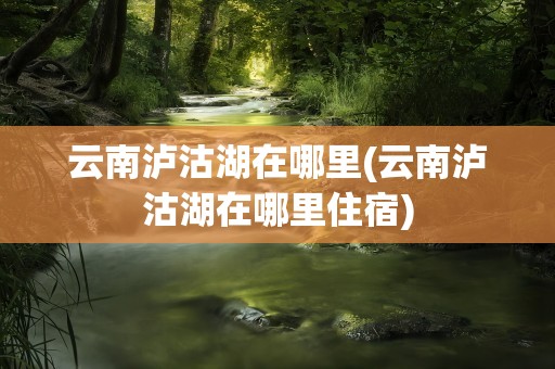 云南泸沽湖在哪里(云南泸沽湖在哪里住宿)