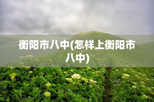 衡阳市八中(怎样上衡阳市八中)