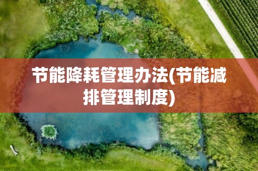 节能降耗管理办法(节能减排管理制度)