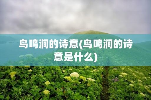 鸟鸣涧的诗意(鸟鸣涧的诗意是什么)