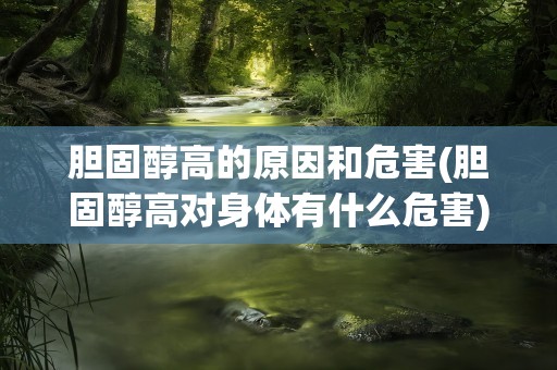 胆固醇高的原因和危害(胆固醇高对身体有什么危害)