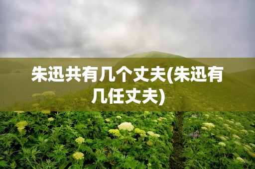 朱迅共有几个丈夫(朱迅有几任丈夫)