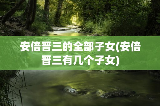 安倍晋三的全部子女(安倍晋三有几个子女)