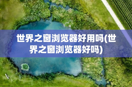 世界之窗浏览器好用吗(世界之窗浏览器好吗)