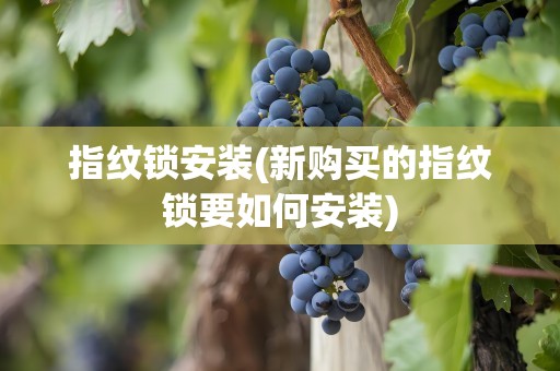 指纹锁安装(新购买的指纹锁要如何安装)