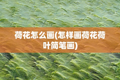 荷花怎么画(怎样画荷花荷叶简笔画)