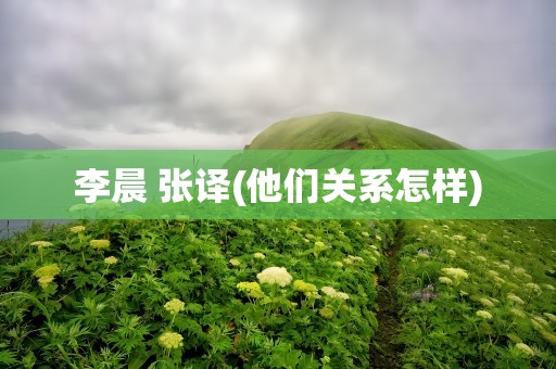 李晨 张译(他们关系怎样)
