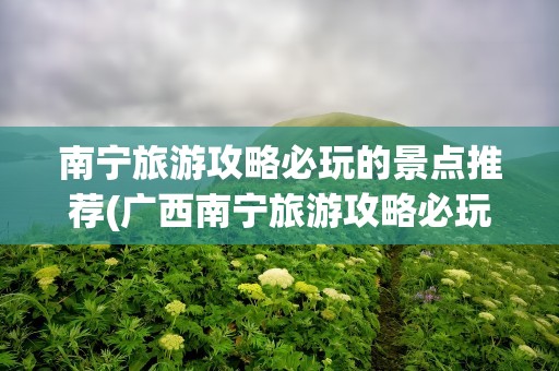 南宁旅游攻略必玩的景点推荐(广西南宁旅游攻略必玩的景点推荐)