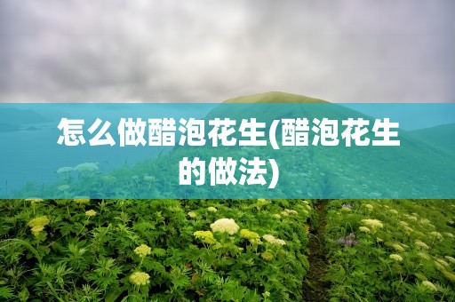 怎么做醋泡花生(醋泡花生的做法)
