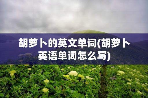 胡萝卜的英文单词(胡萝卜英语单词怎么写)