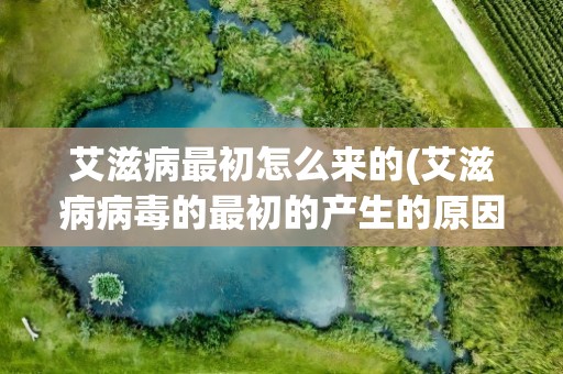 艾滋病最初怎么来的(艾滋病病毒的最初的产生的原因是什么)